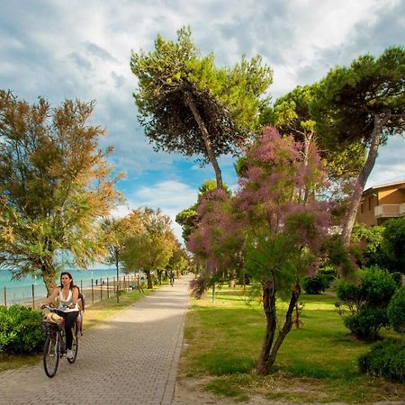 Albergo Il Veliero Pineto Exterior photo