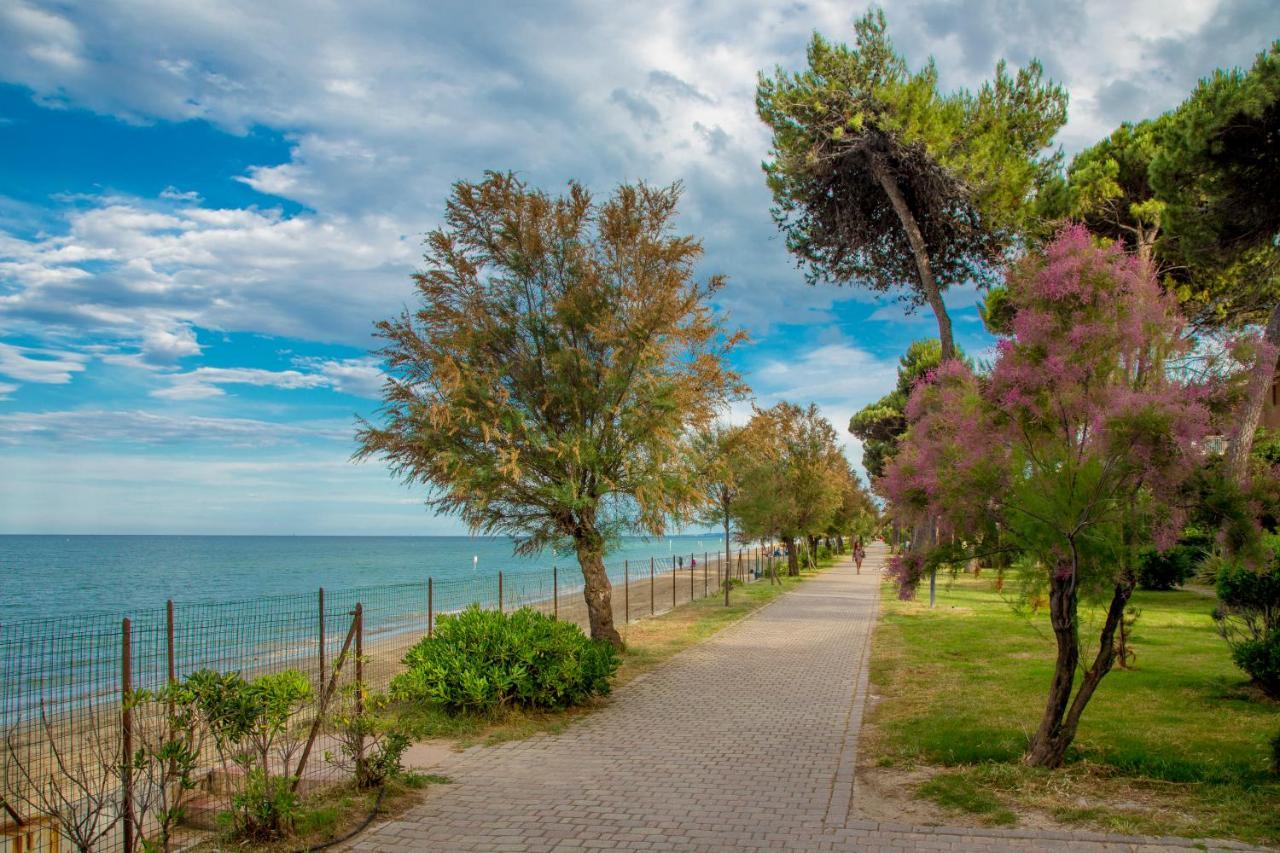 Albergo Il Veliero Pineto Exterior photo